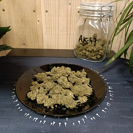 Ak47  14.5% CBD