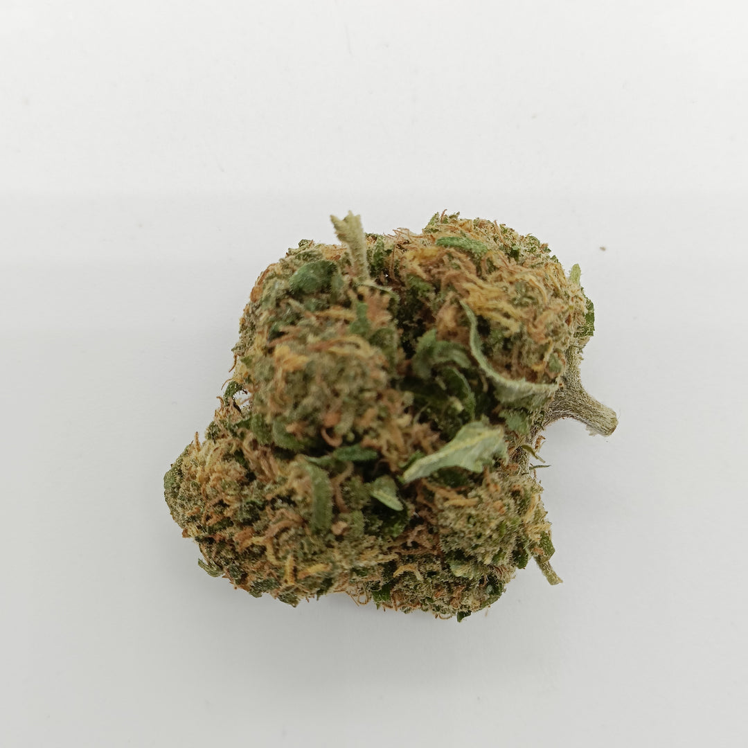 Amnésia  13.3% CBD