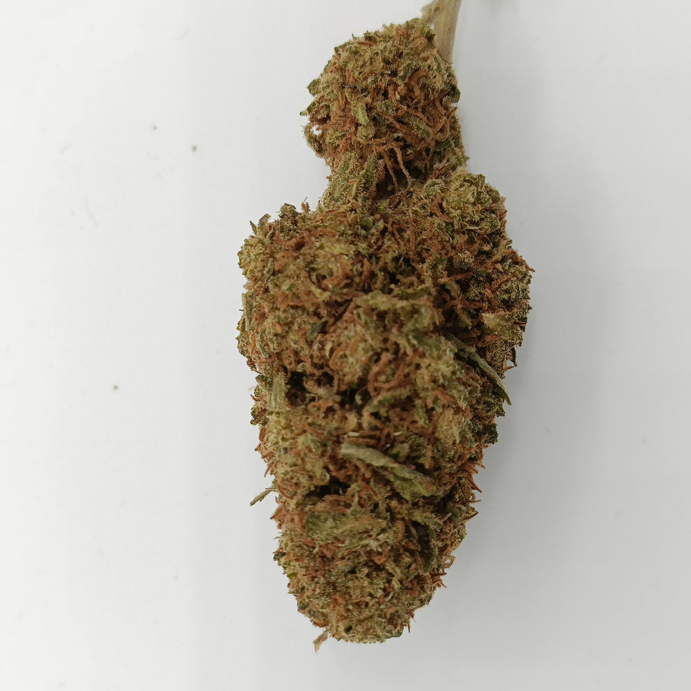 Orange Bud 3,87% CBD