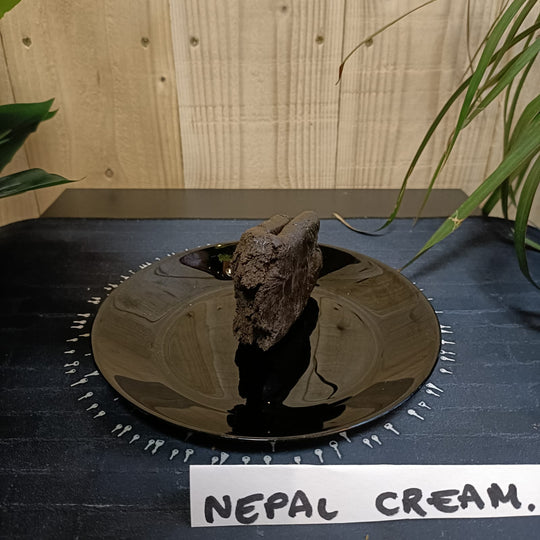 Nepal cream 39,31% CBD